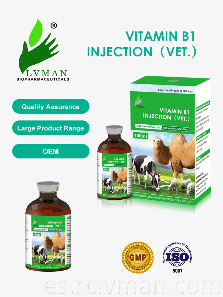 Vitamin B1 Injection